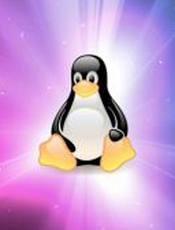 Linux 入门教程